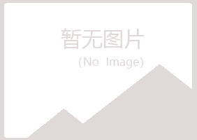 江西夏岚保险有限公司